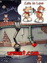 game pic for Cats In Love  Samsung